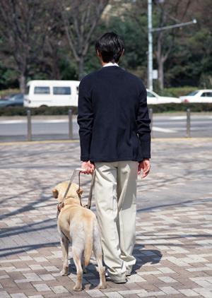 歯並びを治したい方は必見です！