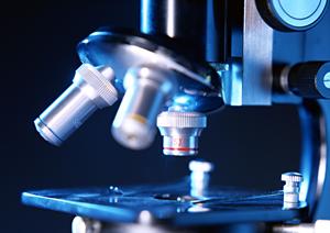 京都で評判の泌尿器科おすすめガイド2026年版──安心・信頼のクリニック選び